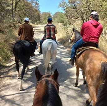 Cabalgatas